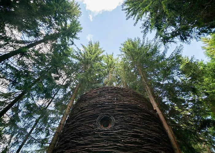 Cabane Entre Terre Et Ciel